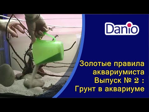 Видео: Второй выпуск - Золотых правил аквариумиста - про Грунт в аквариуме