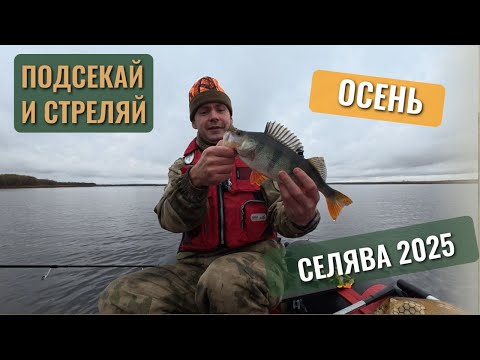Видео: Подсекай и стреляй — Рыбалка на Селяве! #8