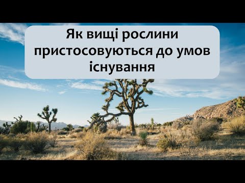 Видео: Біологія 7 клас (Балан). §21 Як вищі рослини пристосовуються до умов існування