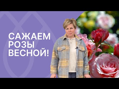 Видео: Все секреты посадки роз в одном ролике!