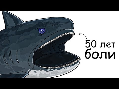 Видео: Ты – Большеротая Акула (И ЭТО ВСЯ ТВОЯ ЖИЗНЬ)