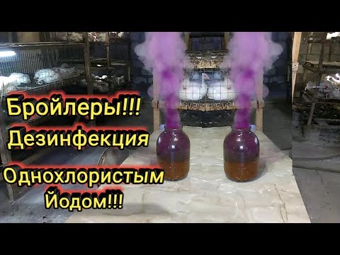 Видео: Бройлеры!!! Дезинфекция Однохлористым Йодом!!!