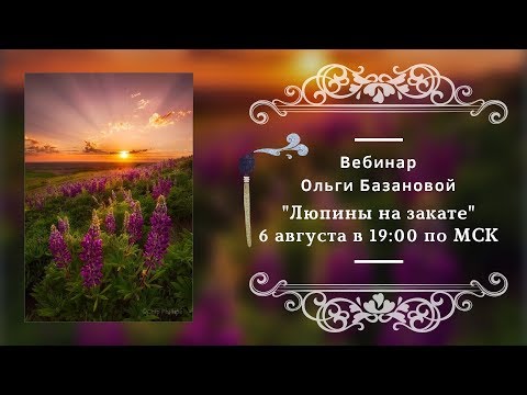 Видео: Вебинар по живописи от Ольги Базановой - "Люпины на закате". Пишем маслом