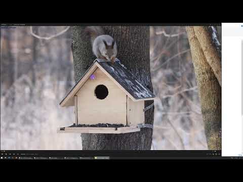 Видео: Сортировка видео