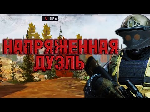 Видео: Arena breakout. M14 на долине.