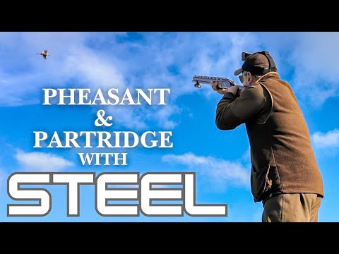 Видео: Мой первый опыт использования патронов ELEY ZENITH STEEL в игровой день в Бертон-Агнес!! | СТАНДА...