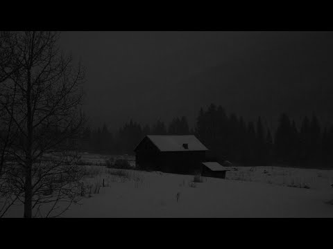 Видео: Хаски - Пуля Дура ( remix by tamshu )