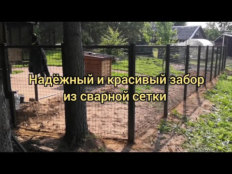 Видео: Надёжный и красивый забор из сварной сетки