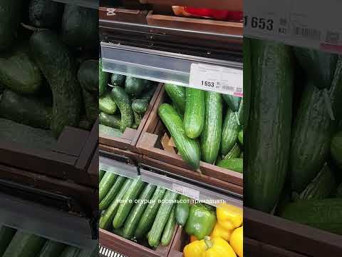 Видео: 23 октября 2025 г.