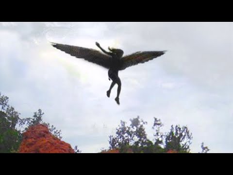 Видео: Если бы Это не Сняли на Камеру, Никто бы не Поверил