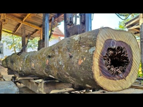 Видео: Крепкий и прочный! Увидел невероятно длинные куски джохарской древесины.
