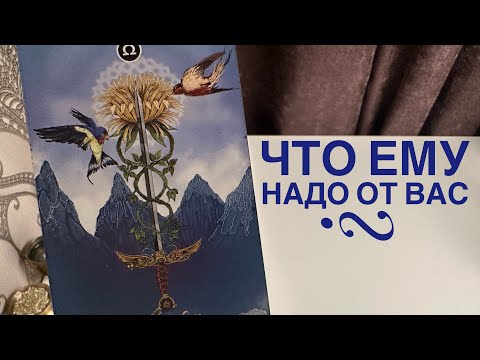 Видео: Что ему надо от вас?