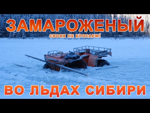 Видео: Замороженный во льдах Сибири!