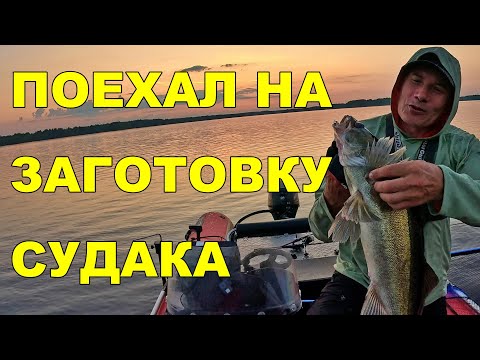 Видео: Рыбалка на судака в Центральной Финляндии + Жизнь в фургоне