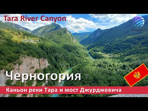 Видео: Tara River Canyon, Montenegro ▶ Каньон реки Тара и мост Джурджевича, Черногория