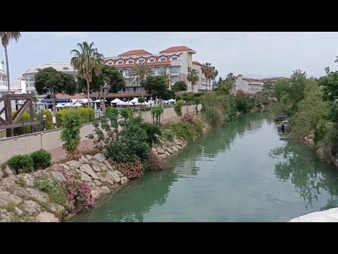 Видео: Турция. Сиде. Черепахи. Бар на пляже Side Win hotel.