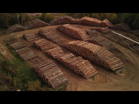 Видео: Производственная площадка клеенного бруса.