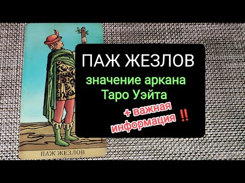 Видео: ПАЖ ЖЕЗЛОВ/ЗНАЧЕНИЕ АРКАНА ТАРО УЭЙТА