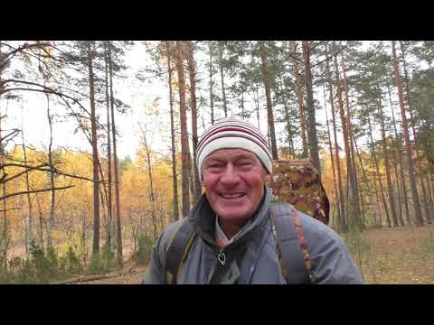 Видео: Мещера/ река Пра/ 15 -16 октября 2022