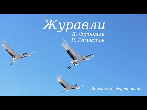 Видео: Ян Френкель - Журавли | Фортепиано