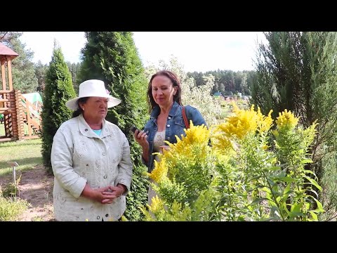 Видео: Аптекарский сад.  Ядовитые растения.