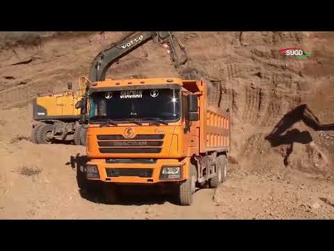 Видео: 4 ноября 2025 г.