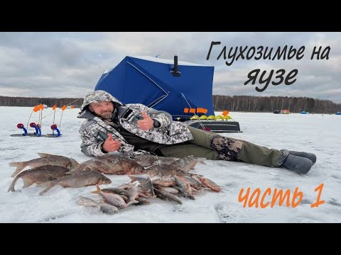 Видео: ГЛУХОЗИМЬЕ ОТМЕНЯЕТСЯ! ЗИМНЯЯ РЫБАЛКА С НОЧЕВКОЙ НА ЯУЗСКОМ ВОДОХРАНИЛИЩЕ! ЧАСТЬ 1.
