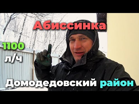Видео: Абиссинская скважина в Домодедовском районе!