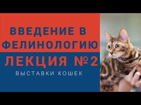 Видео: Введение в фелинологию - Лекция №2 Выставки кошек