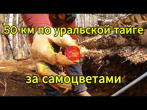 Видео: Поход за минералами среднего Урала (Кадниково, Ольховка, Гематитовая горка, Верховская копь)