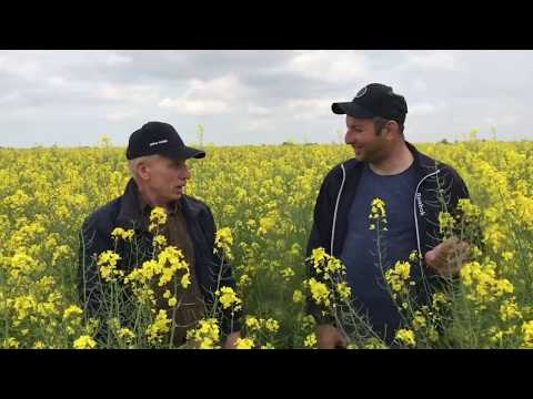 Видео: Рапс на нуле в исполнении Эрнеста Абубуллаева