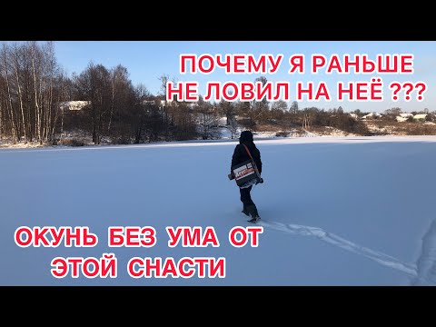 Видео: ЛУЧШАЯ СНАСТЬ для ПОИСКА КРУПНОГО ОКУНЯ /От ЭТОЙ СНАСТИ  ОКУНЬ СХОДИТ с УМА