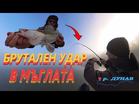Видео: БРУТАЛЕН УДАР В МЪГЛАТА !  Бели Риби на р.ДУНАВ! Salau pe Dunare! ZANDER FISHING!