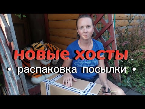 Видео: Приехали новые хосты в мой сад. Распаковка посылки.