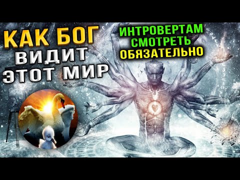 Видео: В чём смысл жизни. Кто его ищет и зачем
