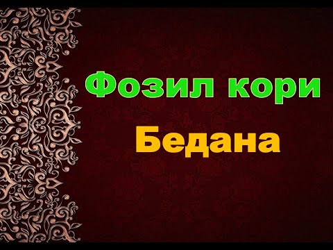 Видео: Фозил кори Бедана,Фозил кори насихатлари