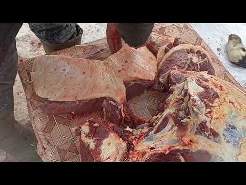 Видео: жылқы етін толық мүшелеу #ат #согым #horse #как #қазақша #animals #shorts #english #kazakhstan