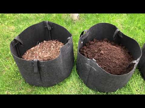 Видео: Голубика в контейнерах. Лохина в контейнерах. Grow Bag. Вирощуємо лохину в Grow Bag. Сумка-контейнер