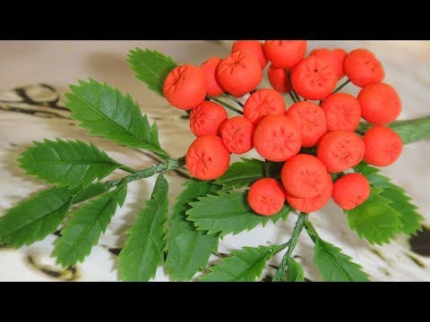 Видео: ВЕТОЧКА РЯБИНЫ из полимерной глины. НОВЫЕ ИДЕИ! Мастер-класс по лепке. Очень ЛЕГКО и РЕАЛИСТИЧНО