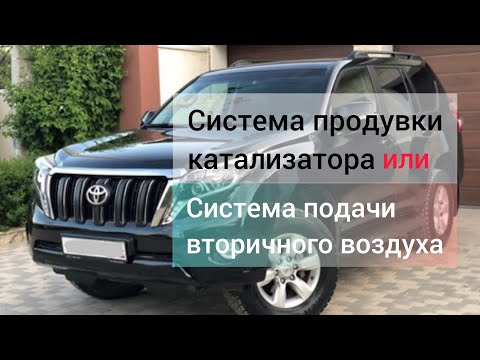 Видео: TLC Prado 150 продувка катализатора вода в насосе.