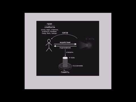 Видео: сопротивление слабостям тела делает сознание бессмертным
