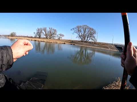 Видео: Открытие поплавочного сезона,  подлещик и поплавки Херебуна,  отчёт № 365