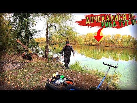 Видео: Дочекалися !!! Сезон Фідера на Дніпрі в Розгарі !!!