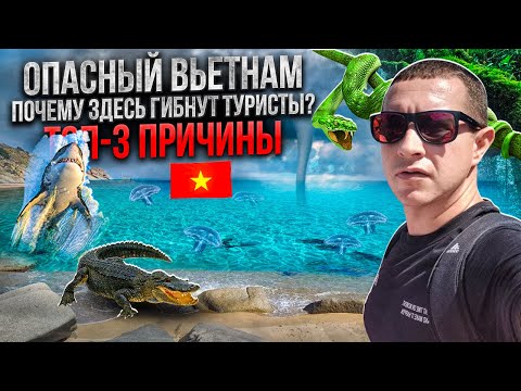 Видео: Опасности во Вьетнаме: эпидемия смертей в Нячанге? Как выжить во Вьетнаме, страхование жизни