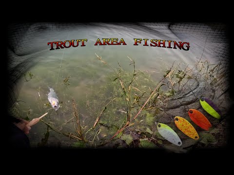 Видео: Тренировката на част от Българския отбор по АРЕА риболов и колеги, които ще ни помагат.