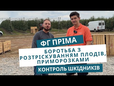 Видео: Боротьба з розтріскуванням плодів, приморозками та контроль шкідників. ФГ ПРІМА 