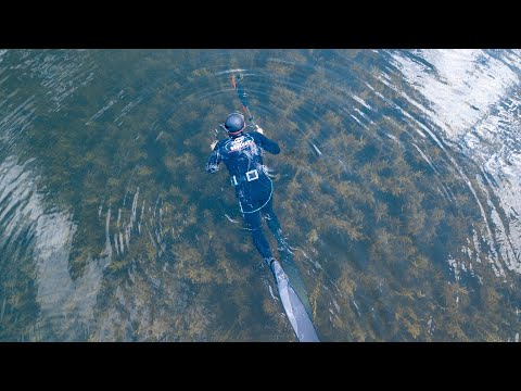 Видео: Где сазан, там и охотник. ДАРЫ ЕНИСЕЯ. Подводная охота на Красноярском водохранилище.