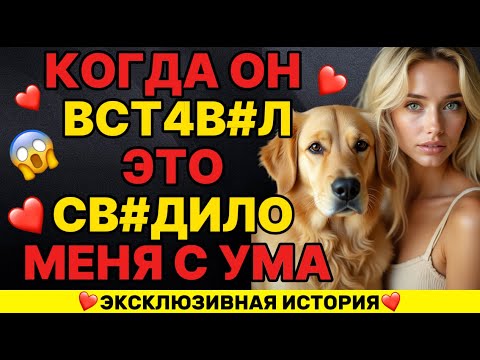 Видео: 😱 Моя собака внезапно сделала это со мной посреди ночи   не ожидал такого!