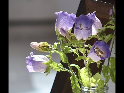 Видео: Подготовка к бесплатному мастер-классу по созданию колокольчика из фоамирана