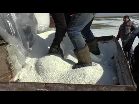 Видео: 1 марта вносим сульфат